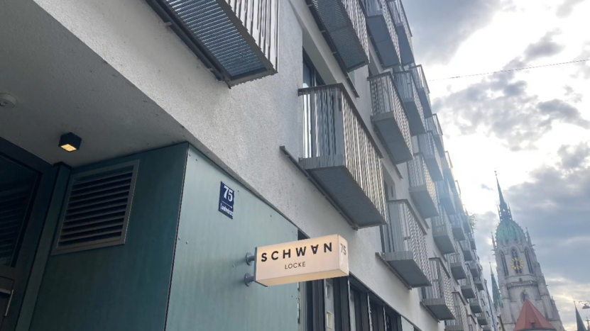 Schwan Locke in München